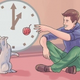 Pegue um segundo gato e não perturbe o gato velho