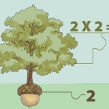 Calculando uma raiz quadrada sem uma calculadora