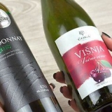 Usando uma garrafa de vinho para regar uma planta