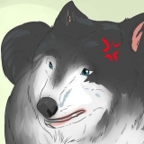 Aproximando-se de um cão vadio