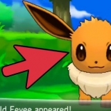 Eevee eevee em espeon ou umbreon