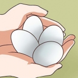 Pasteurização de ovos