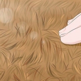 Remover larvas
