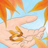 Germinação de sementes de bordo