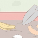 Jogar fora comida