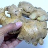 Preparando gengibre para cozinhar ou assar