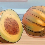 Conservas de legumes da família do pepino