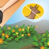 Mantenha os veados fora do seu jardim