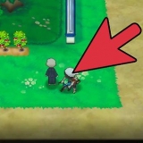 Treinando o ev do seu pokémon