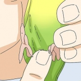 Determinando o sexo de um periquito