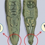 Veja a diferença entre um crocodilo e um jacaré
