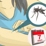 Cuidando de alguém com dengue