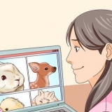 Esqueceu algo terrível que você viu na internet