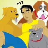 Viver em uma casa com vários cães