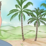 Subindo em um coqueiro