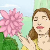 Obter inspiração