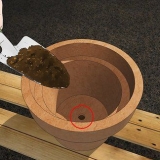 Cultivo de jasmim em vaso