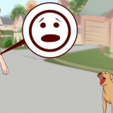 Superando o medo de cachorros