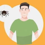 Supere seu medo de aranhas