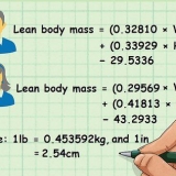 Determinando sua massa seca