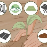 Cultivando sua própria comida