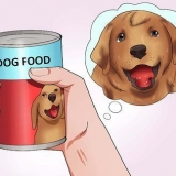 Faça seu cachorro engolir um comprimido