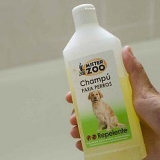 Faça o seu cão cheirar melhor