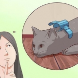 Desative seu gato