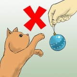 Protegendo sua árvore de natal dos gatos