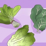Alimentando seu coelho com a comida verde certa