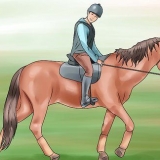 Ensine ao seu cavalo um galope manual