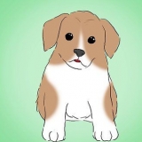 Impedindo que seu cachorro morda