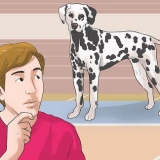 Vestir-se como um cachorro (para cosplay)