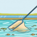 Limpando sua piscina você mesmo