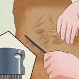 Diagnosticando e tratando os problemas de pele com coceira do seu cão
