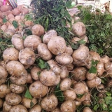 Descascando jicama