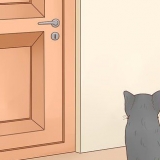 Mantenha os gatos fora de um quarto