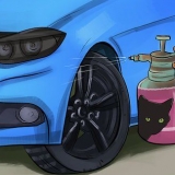 Mantenha os gatos longe do seu carro