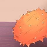 Comer kiwano