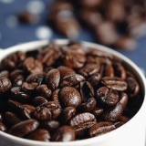 Fazendo café com uma prensa de café