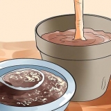 Usando borra de café em seu jardim