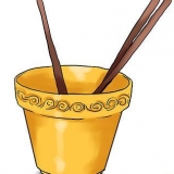 Cultivo de pepinos em vasos