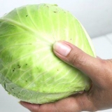 Cozinhar repolho