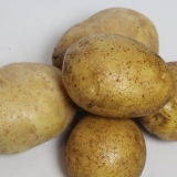 Purê de batata fácil de fazer