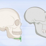 Identificando ossos humanos