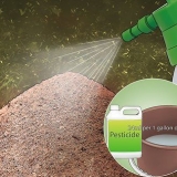 Combater formigas ao ar livre