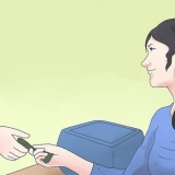 Cuidando de coelhos mini lop