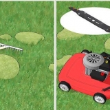 Remova o musgo do seu gramado
