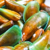 Cozinhar mexilhões