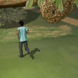 Escapando de um ataque de abelhas africanizadas